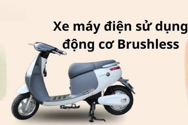 Cấu tạo động cơ xe máy điện - Brushless