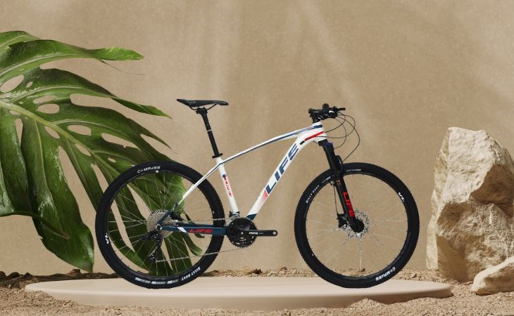 Nhược điểm của xe đạp Life