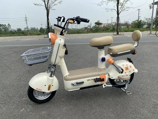 Xe đạp điện cho học sinh cấp 2
