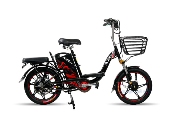 Xe đạp điện BMZ AZI