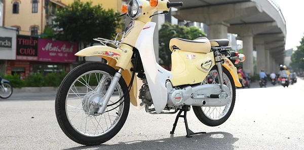 Halim Cub 81